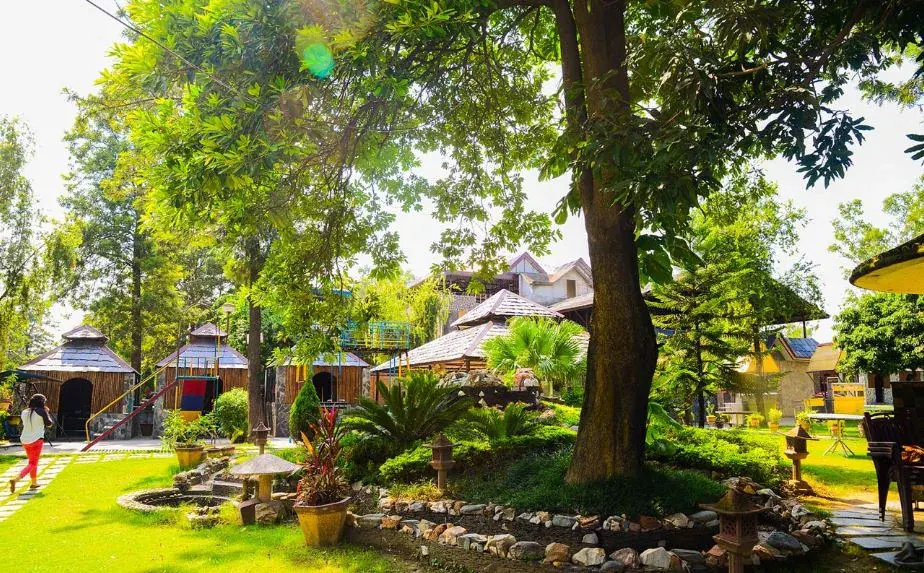 Landscaped garden pathway shaded by mature trees