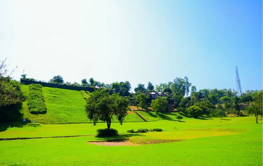 Wide open green lawn with a single shade tree at the resort